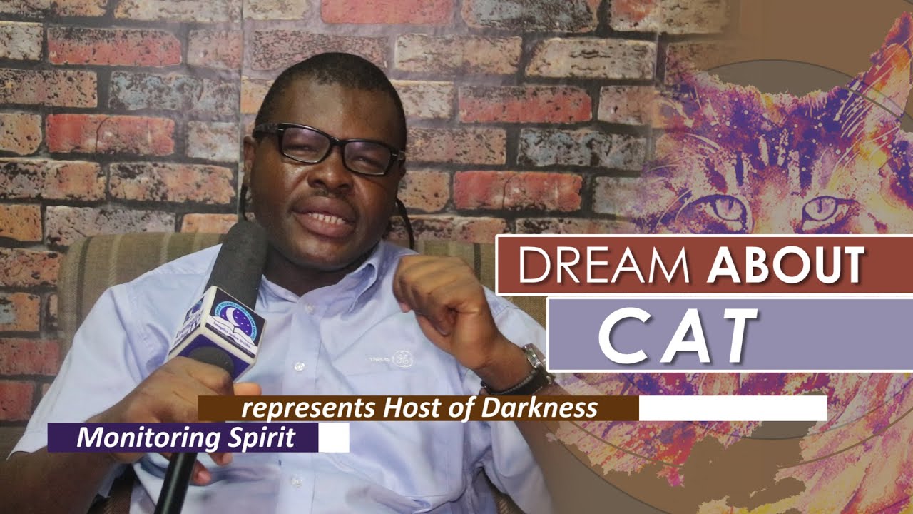 Biblical meaning of cats in dreams and their interpretations 1 biblical meaning of cats in dreams