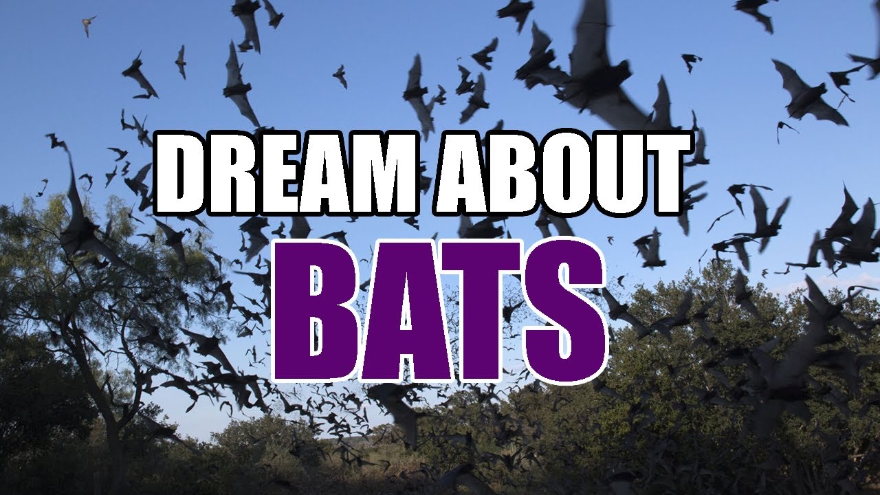 Understanding the dream of bats meaning in different cultures 1 dream of bats meaning