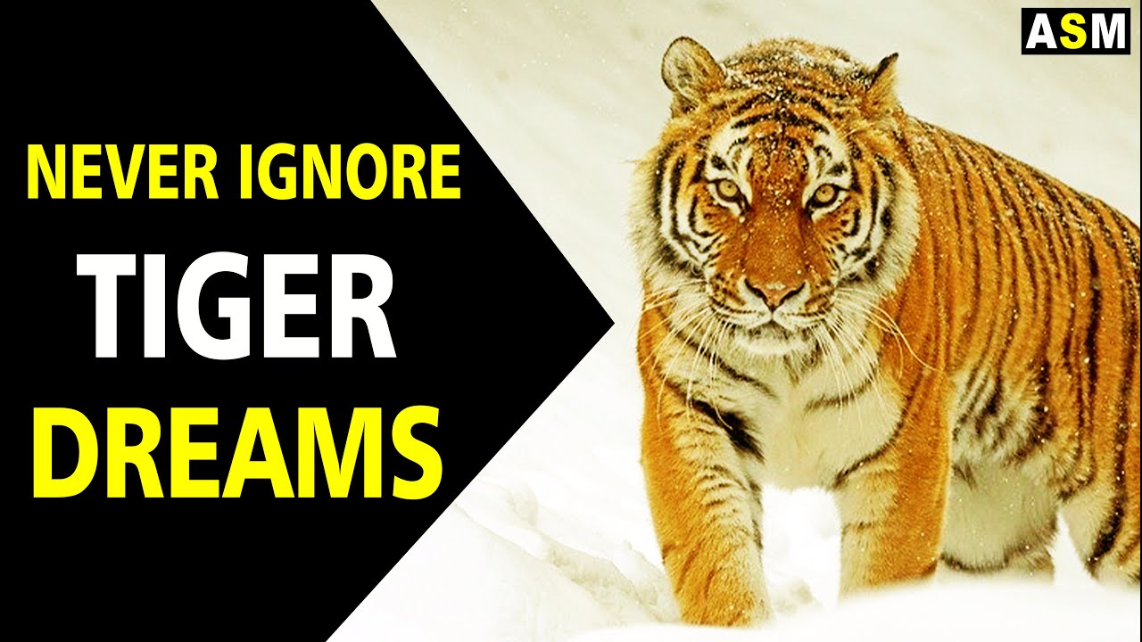 Dreaming of tiger meaning: uncover the symbolism and interpretations 1 dreaming of tiger meaning