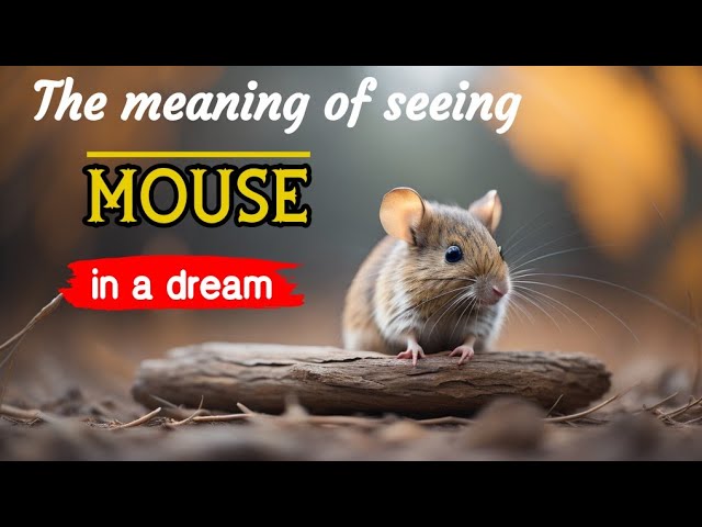 Meaning of a mouse in a dream: interpretations and insights 1 meaning of a mouse in a dream