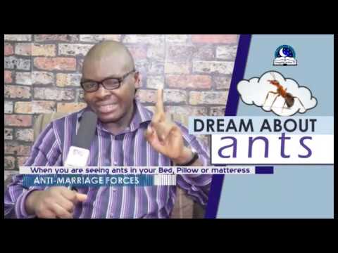 Meaning of ants in a dream: insights and interpretations 1 meaning of ants in a dream