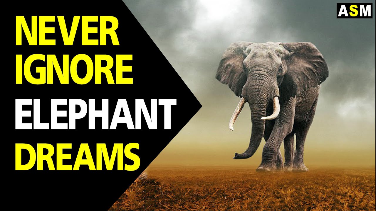 Meaning of dreaming of elephants: interpretations and symbolism explained 1 meaning of dreaming of elephants