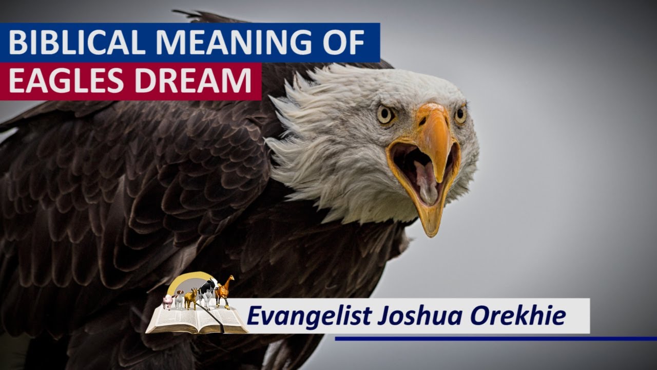 What does it mean to dream of an eagle and its psychological significance 1 what does it mean to dream of an eagle