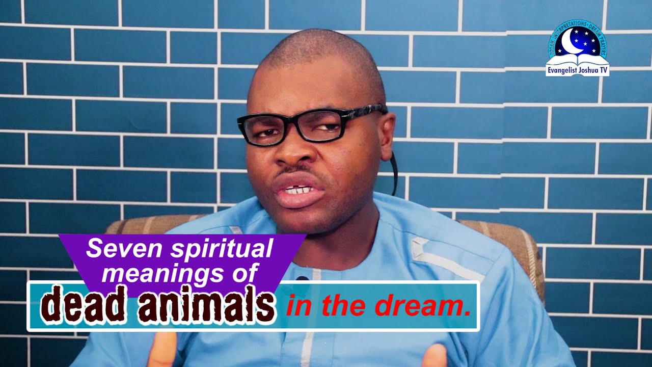 Biblical meaning of dead animals in dreams explained 1 biblical meaning of dead animals in dreams