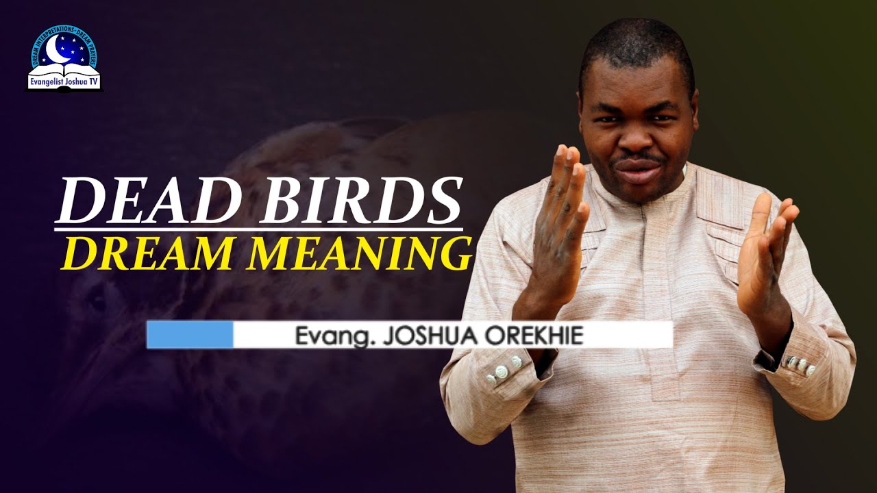 Biblical meaning of dead birds in dreams: interpretations and insights 1 biblical meaning of dead birds in dreams
