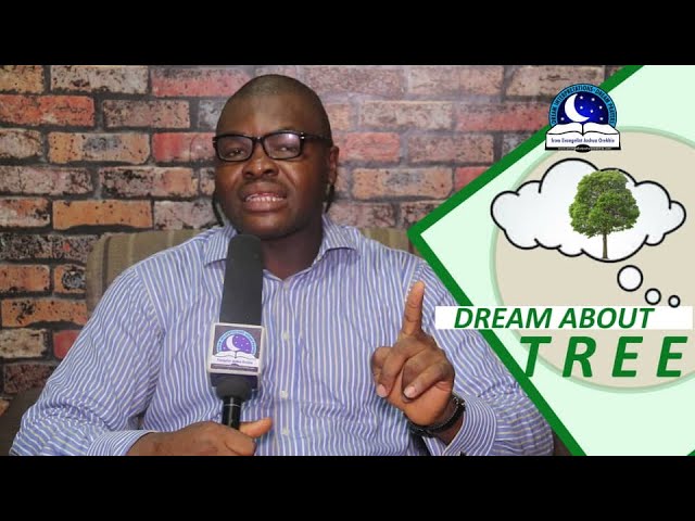 Dream meaning of trees and their significance in your life 1 dream meaning of trees