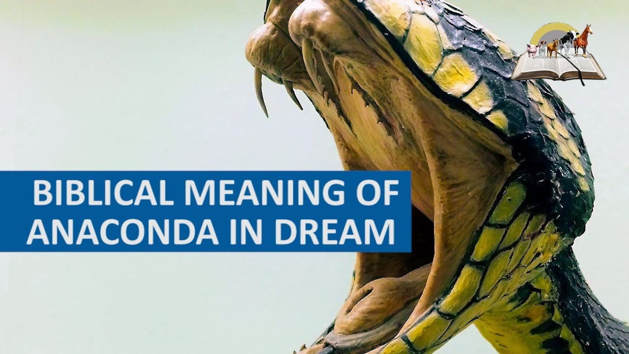 Understanding the dream of anaconda meaning and its interpretations 1 dream of anaconda meaning