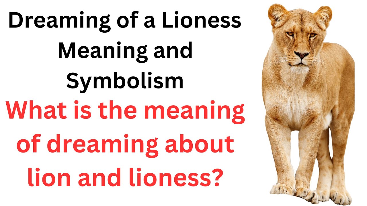 Dream of lioness meaning and its significance in your life 1 dream of lioness meaning