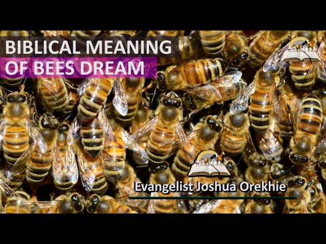 Dreaming of bees flying around you and its spiritual meaning 1 dreaming of bees flying around you spiritual meaning