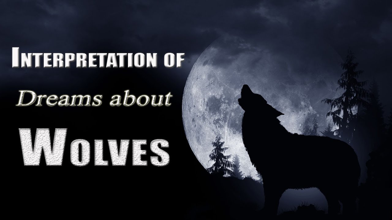Dreaming of wolves meaning and interpretations for your nighttime visions 1 dreaming of wolves meaning