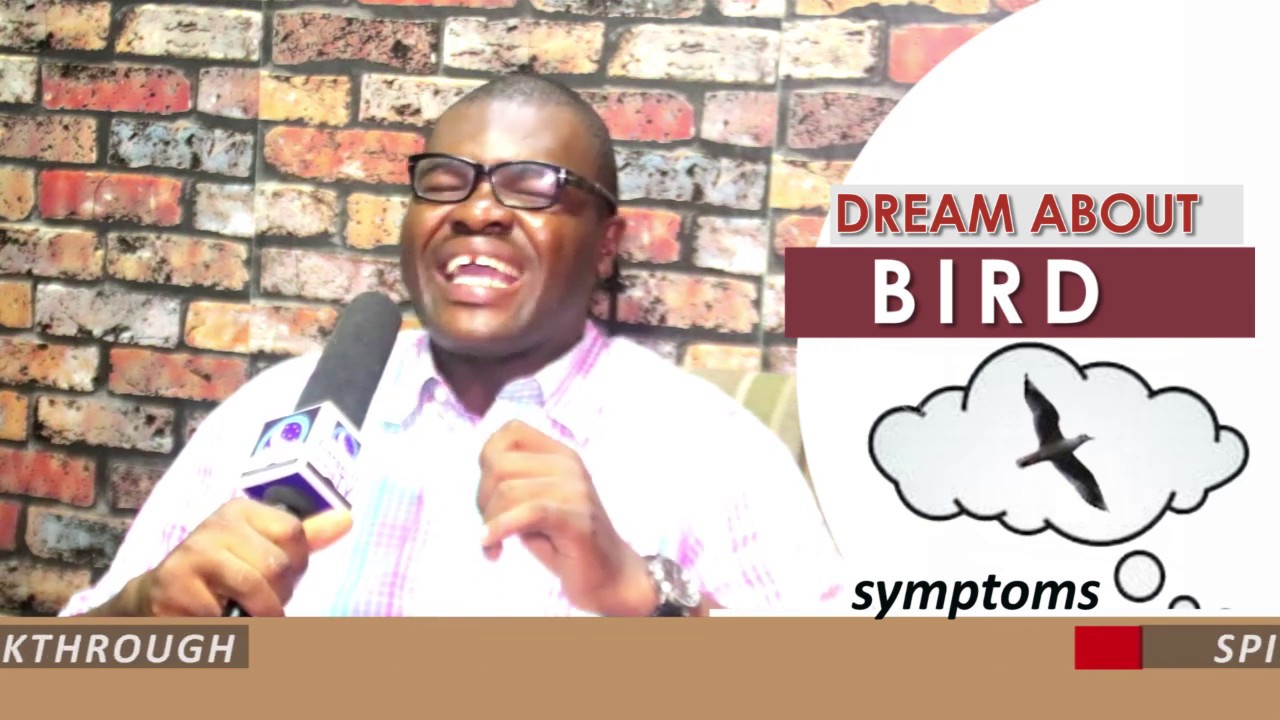 Spiritual meaning of birds in dreams and their symbolic messages 1 spiritual meaning of birds in dreams
