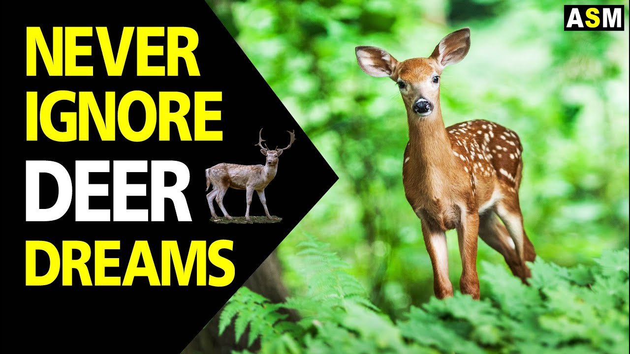 Understanding the meaning of dreaming about a deer 1 what does it mean to dream of a deer